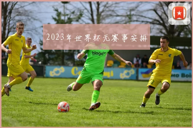 2023年世界杯无赛事安排