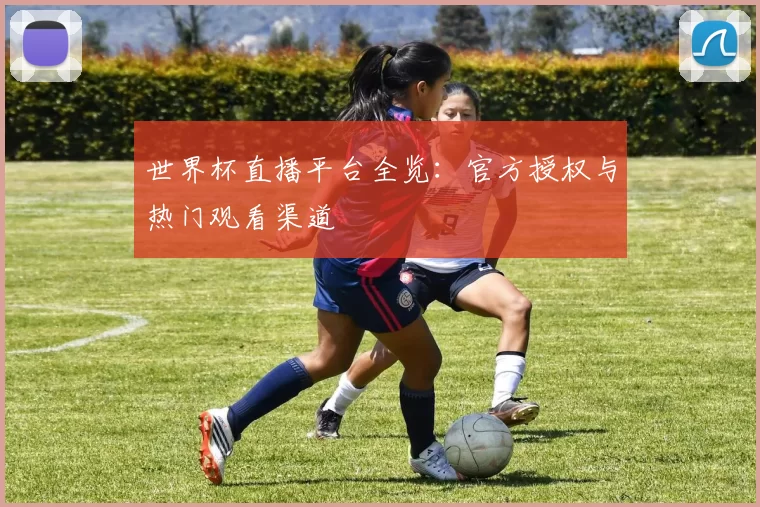 世界杯直播平台全览:官方授权与热门观看渠道