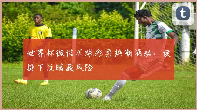 世界杯微信买球彩票热潮涌动，便捷下注暗藏风险
