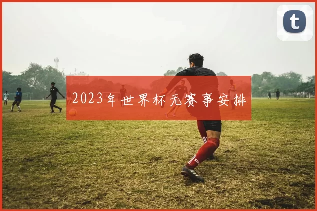 2023年世界杯无赛事安排