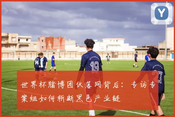 世界杯赌博团伙落网背后：专访专案组如何斩断黑色产业链