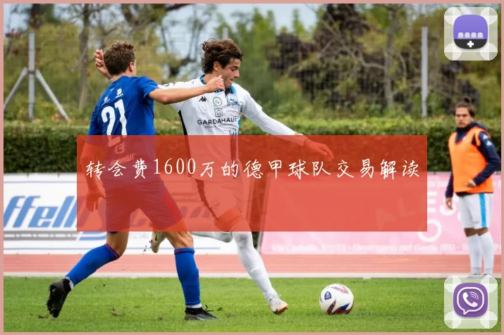 转会费1600万的德甲球队交易解读