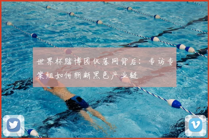 世界杯赌博团伙落网背后：专访专案组如何斩断黑色产业链